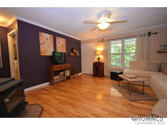 101 Harrison Hill Road Swannanoa, NC 28778 - Photo 5 of 24 Gallery Image 5