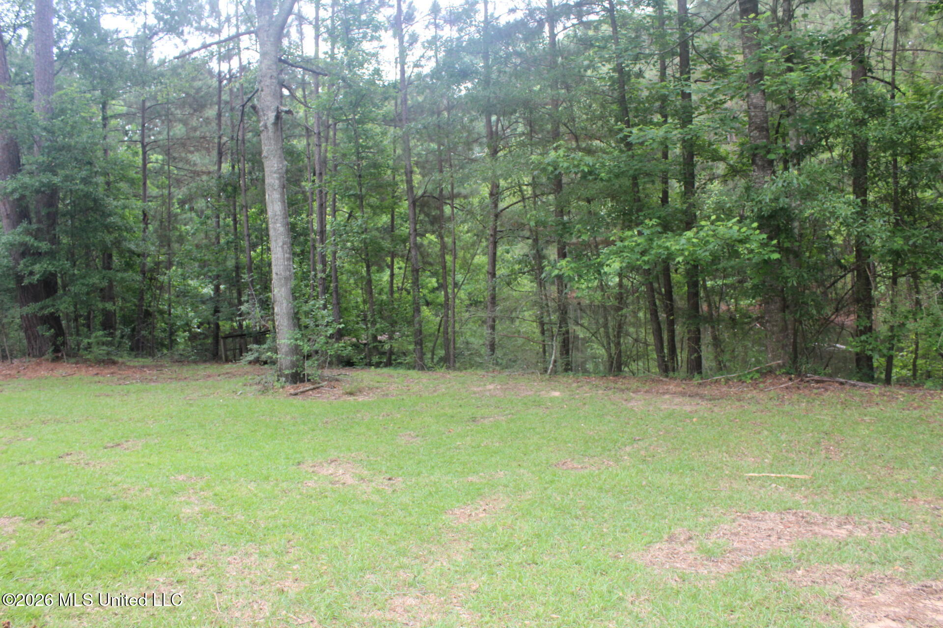 429 River Rd Drive Southeast Bogue Chitto, MS 39629 - Photo 11 of 38 IMG_9728