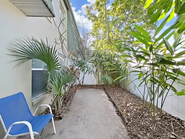a view of a plants with a small yard