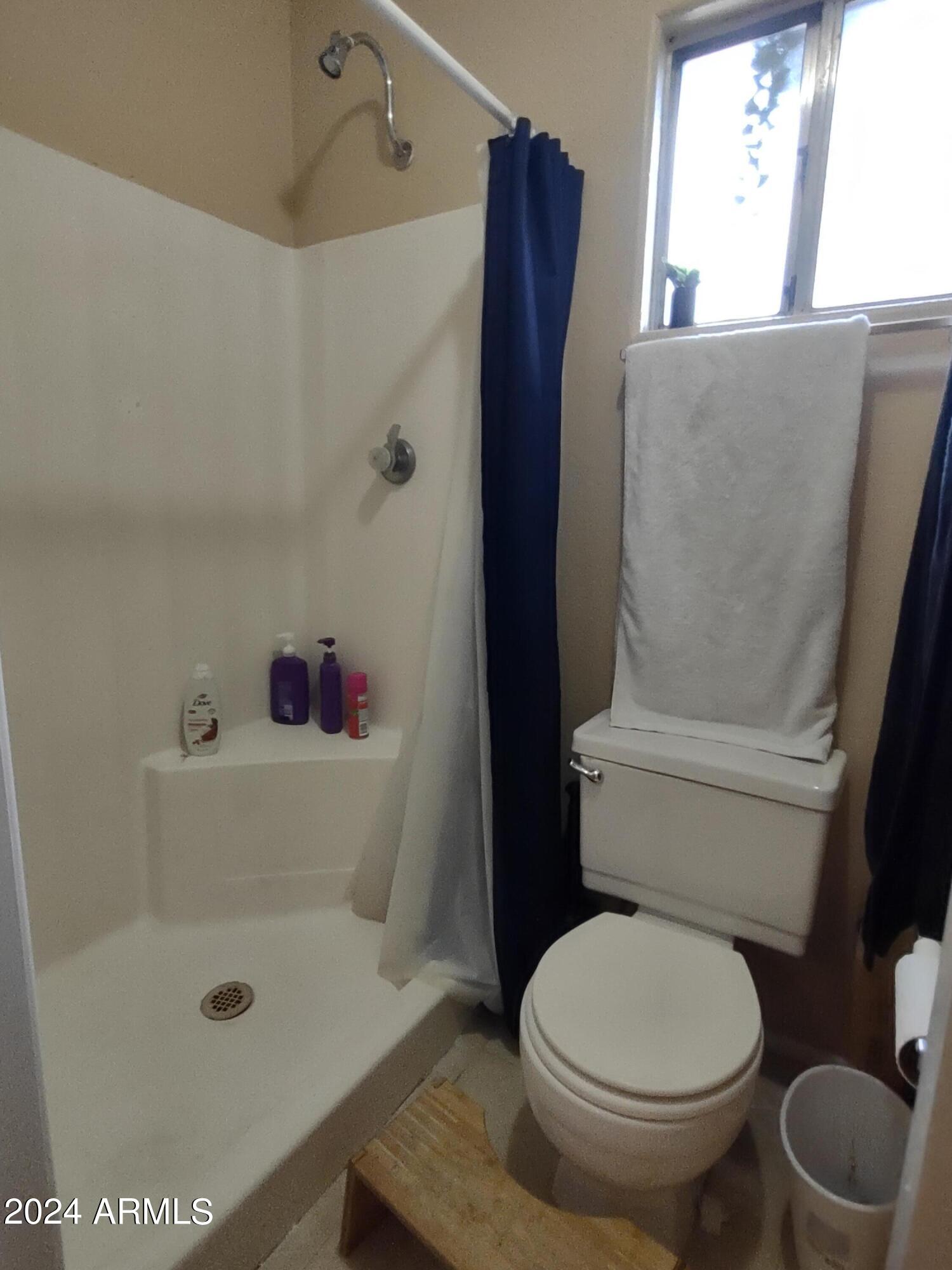 3137 East Diamond Avenue Mesa, AZ 85204 - Photo 14 of 35 Master Shower