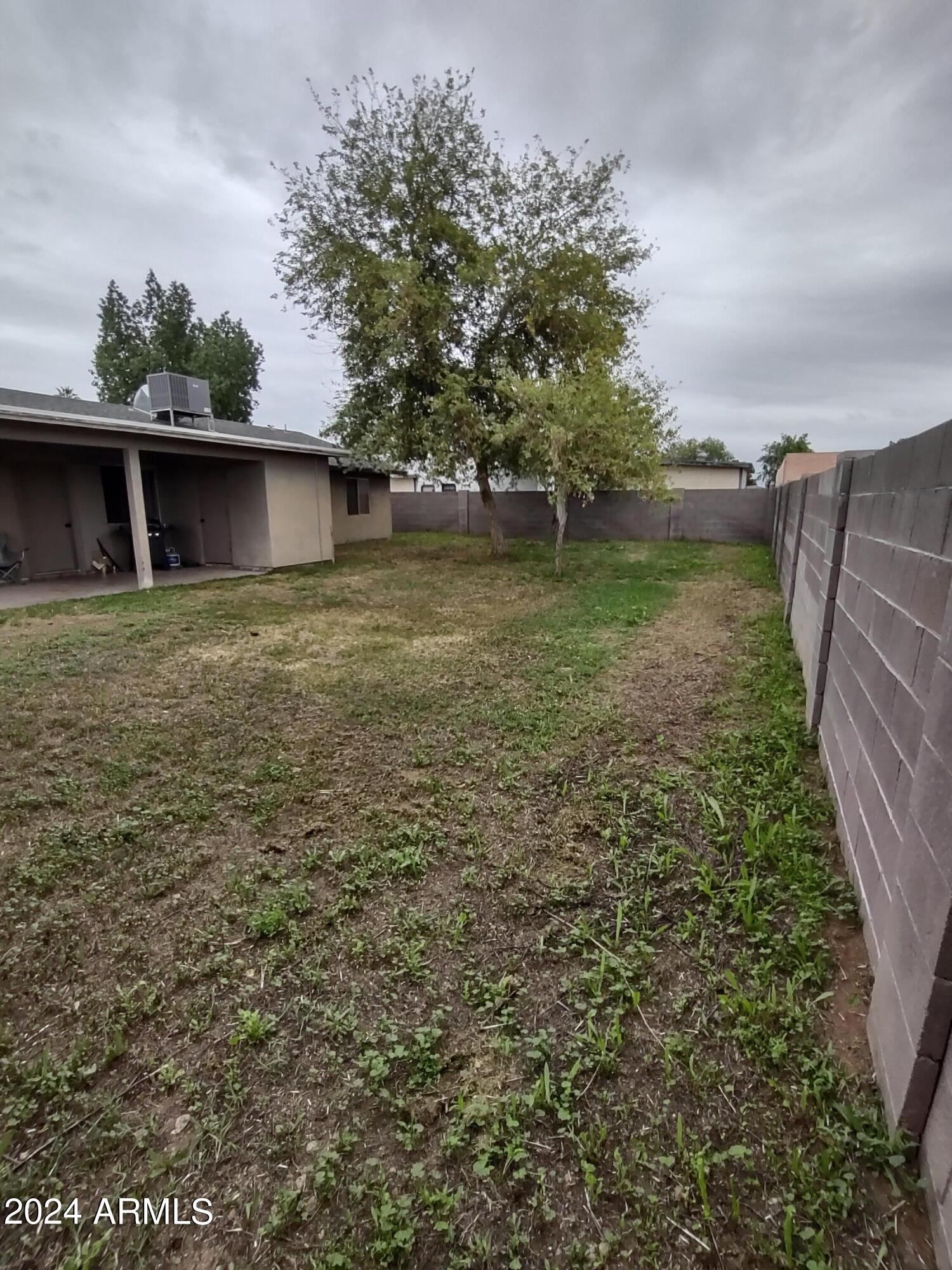 3137 East Diamond Avenue Mesa, AZ 85204 - Photo 23 of 35 Spacious Backyard