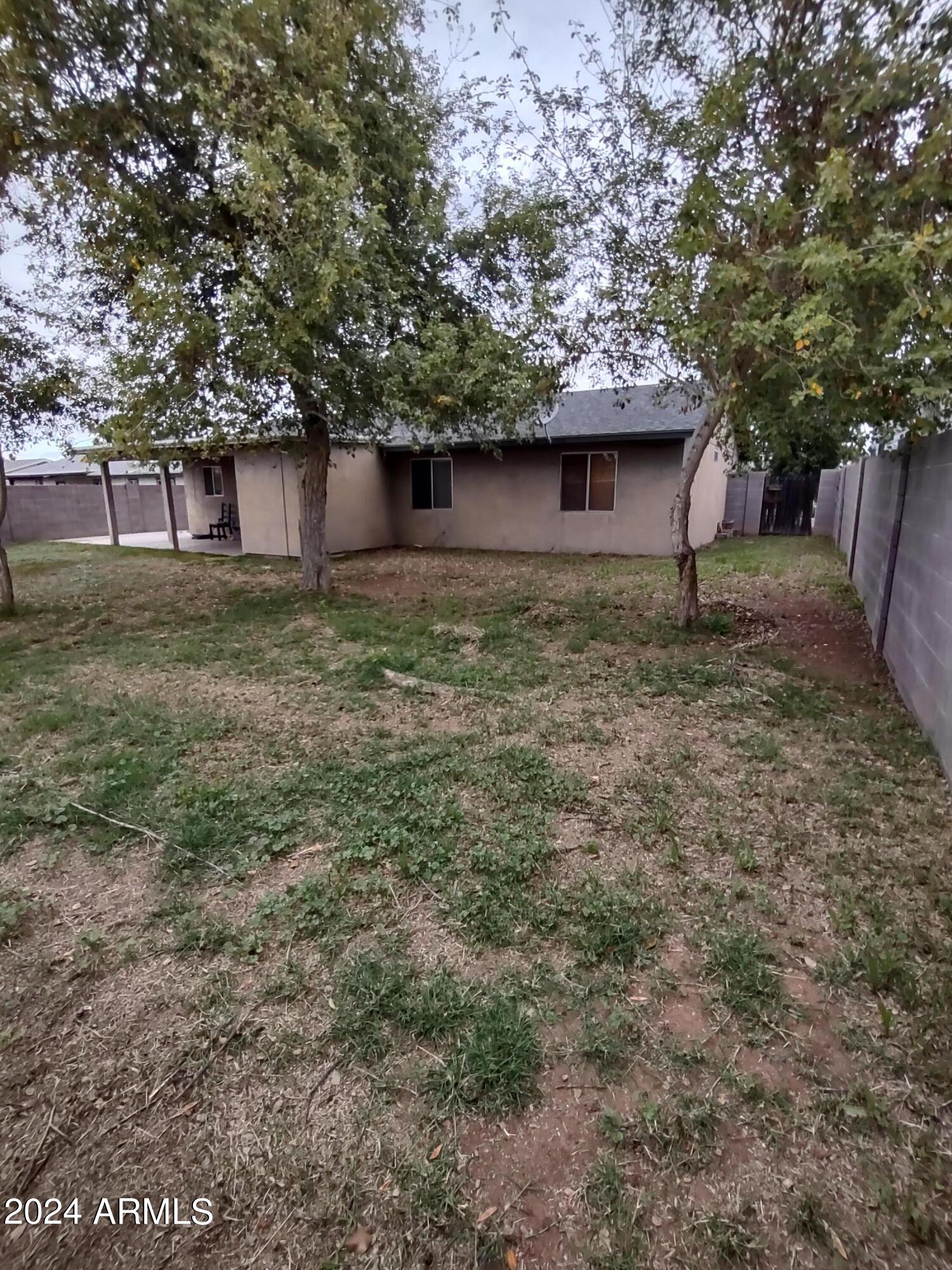 3137 East Diamond Avenue Mesa, AZ 85204 - Photo 26 of 35 Mature Trees