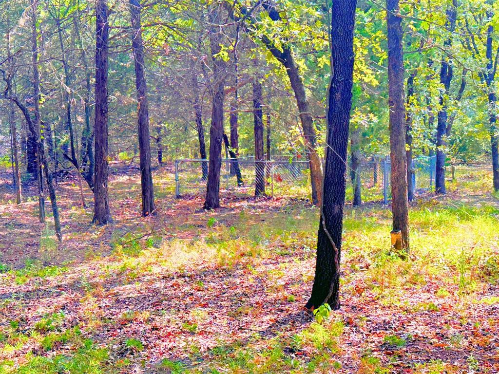 1395 Blackjack Road Valley View, TX 76272 - Photo 19 of 22 a view of a swimming pool with a patio