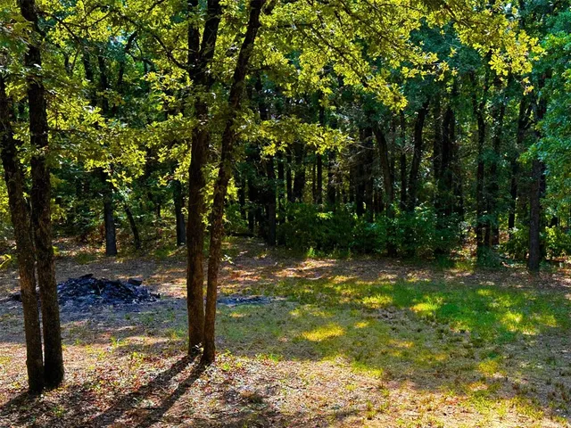 a view of a yard with trees