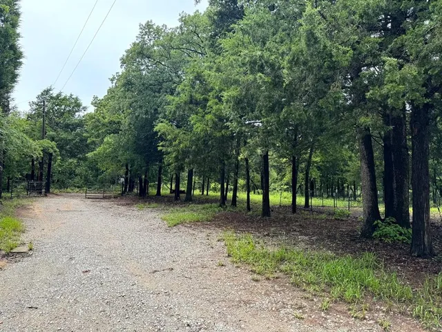a view of outdoor space with trees all around