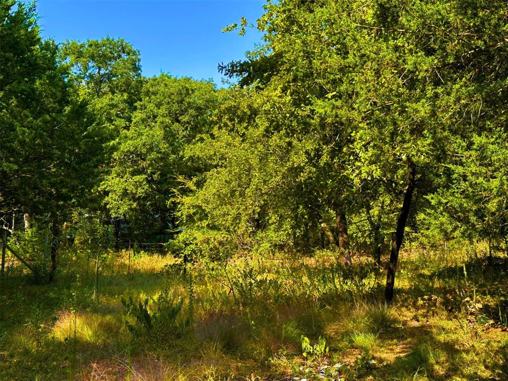 1395 Blackjack Road Valley View, TX 76272 - Photo 21 of 22 a view of a lake