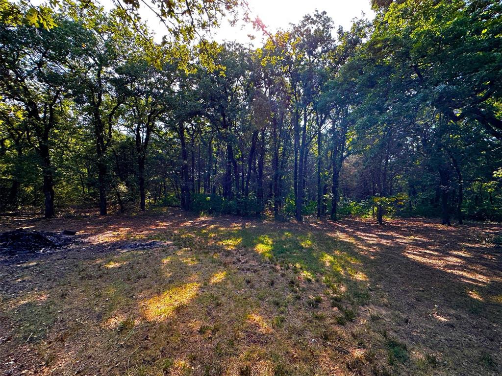 1395 Blackjack Road Valley View, TX 76272 - Photo 22 of 22 a view of a tree in front of a house