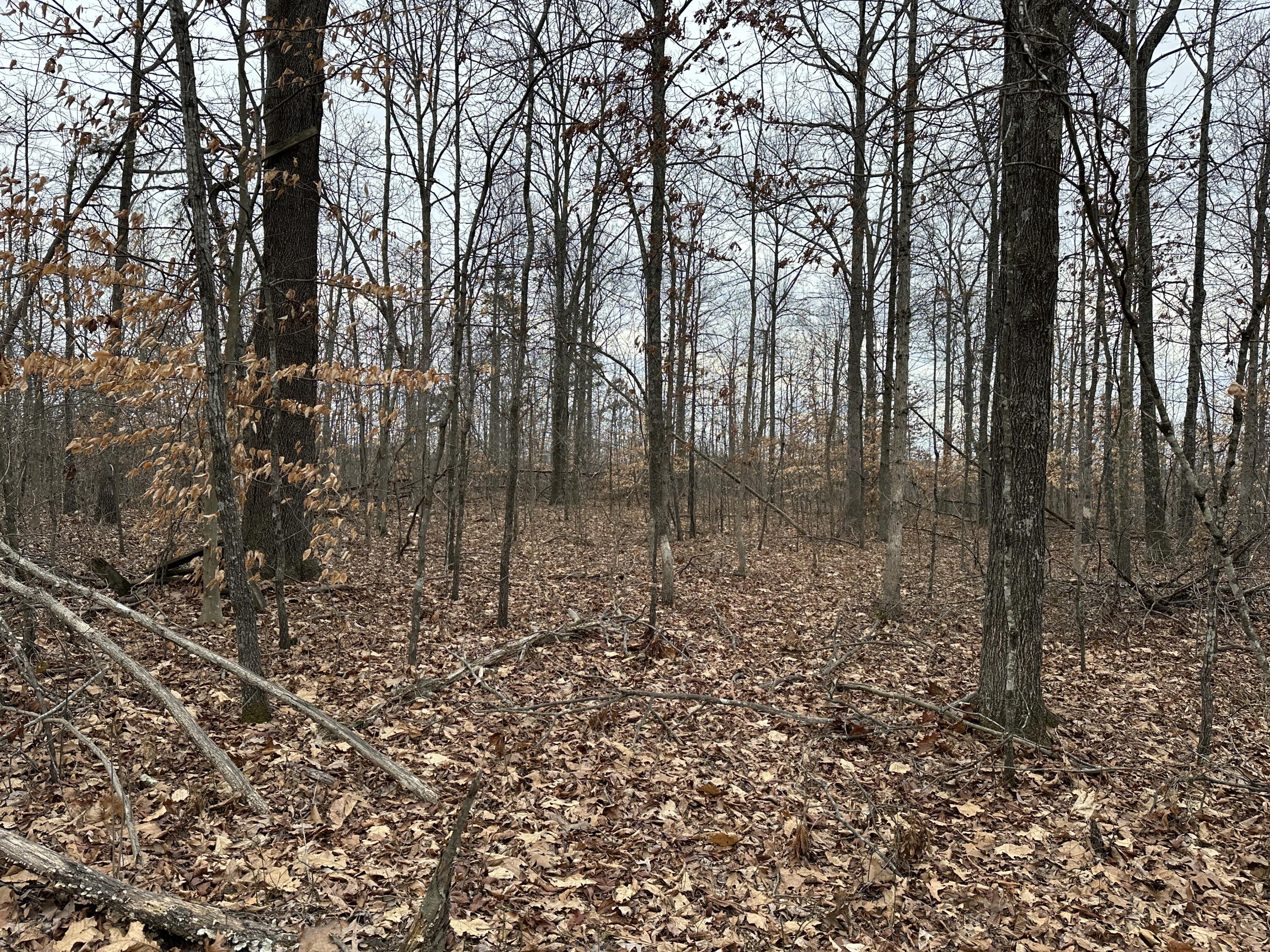 11 Williams Creek Road Rush, KY 41168 - Photo 33 of 42 32