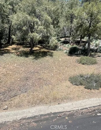 $10,000 | 2165 Tyndall Pine Mountain Club, Pine Mountain Club, CA 93222