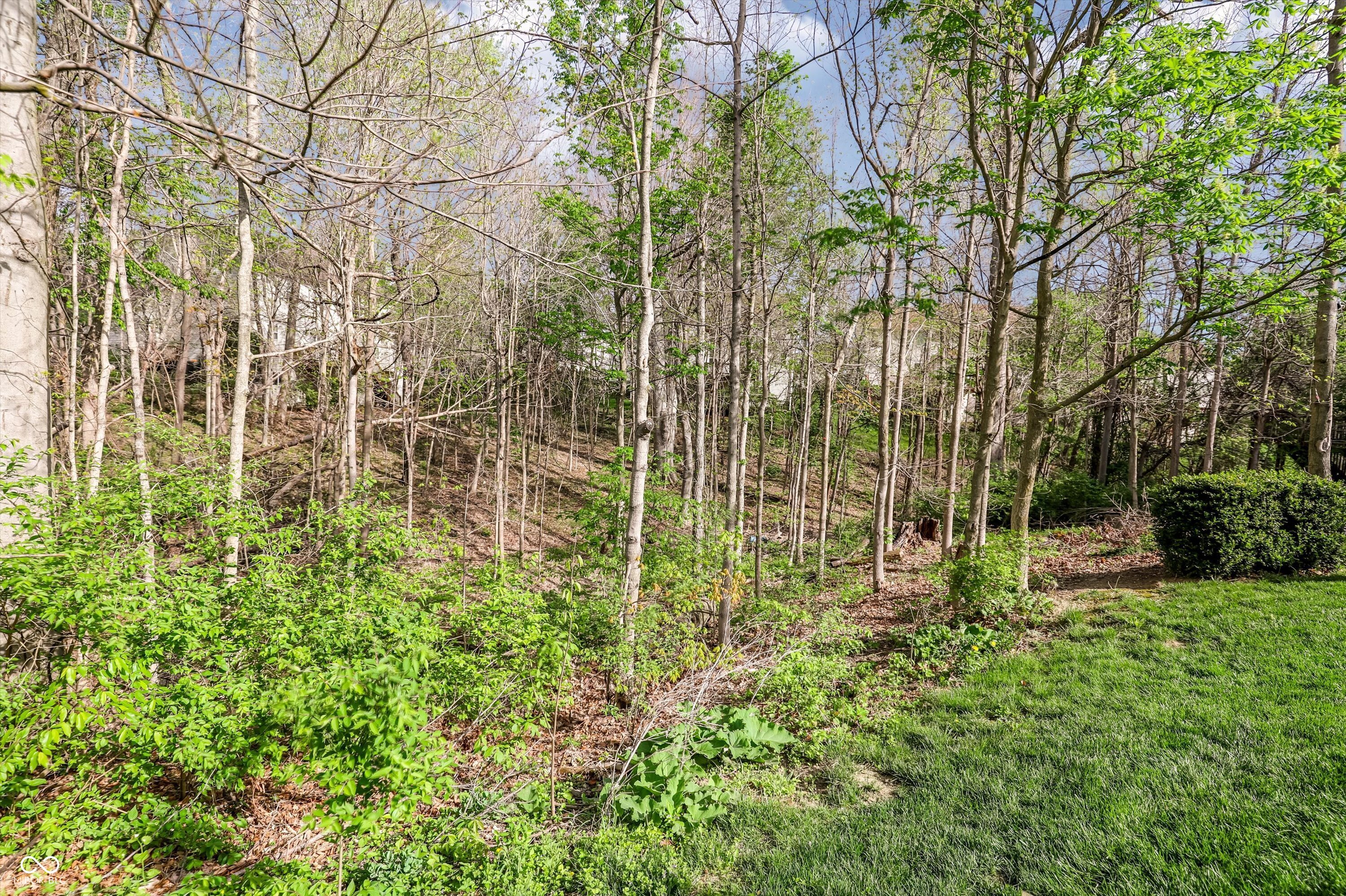 10328 Ridge Line Court Indianapolis, IN 46236 - Photo 65 of 78