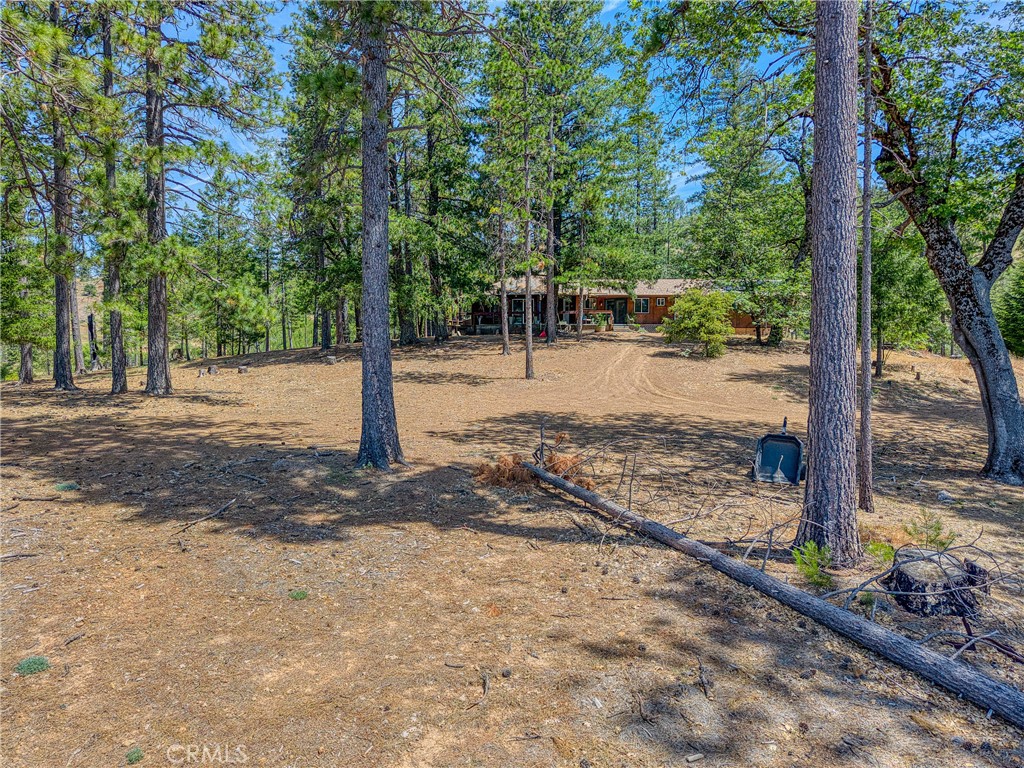 6135 15 N 12 Road Upper Lake, CA 95485 - Photo 6 of 68