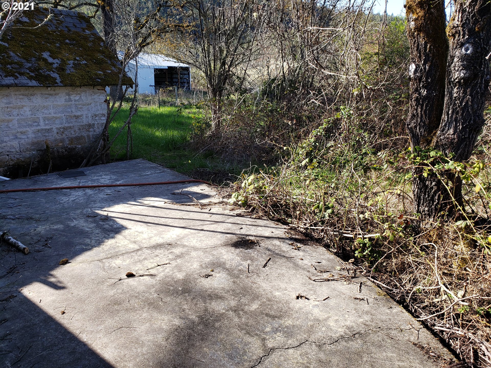 403 Meyer Lane Riddle, OR 97469 - Photo 13 of 25 a view of a yard with plants and a trees