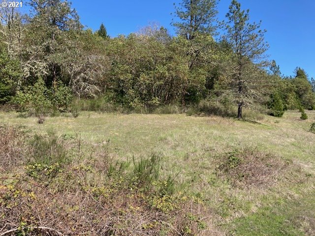 403 Meyer Lane Riddle, OR 97469 - Photo 6 of 25 a view of a yard with a tree
