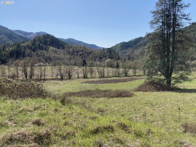 403 Meyer Lane Riddle, OR 97469 - Photo 7 of 25 a view of green field with mountains in the background