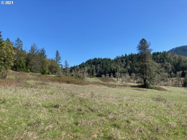 403 Meyer Lane Riddle, OR 97469 - Photo 8 of 25 a view of a field with trees in the background