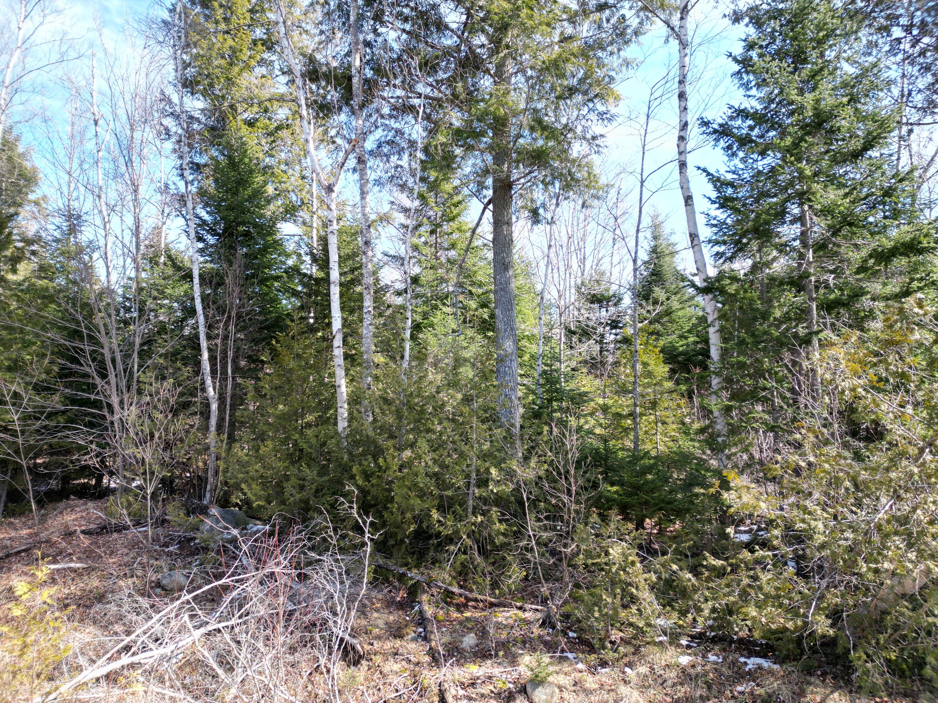 Lot 2-2 Main Road Carroll Plt, ME 04487 - Photo 3 of 25 DJI_0855