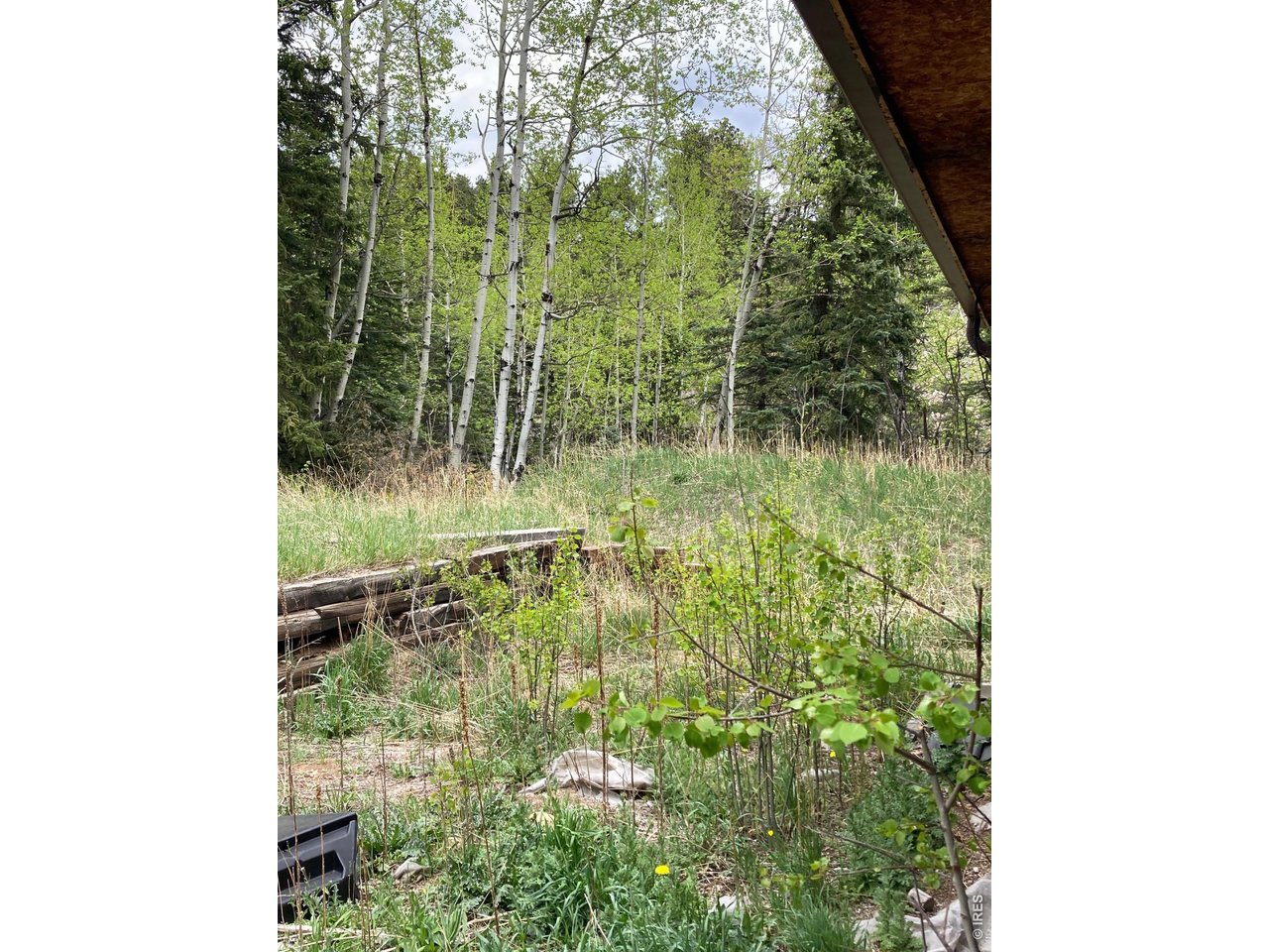 1064 Cold Springs Road Nederland, CO 80466 - Photo 19 of 48 a view of backyard with green space