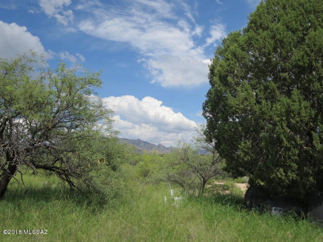 6353 East Diamondback Road, Unit 135 St. David, AZ 85630 - Photo 6 of 15
