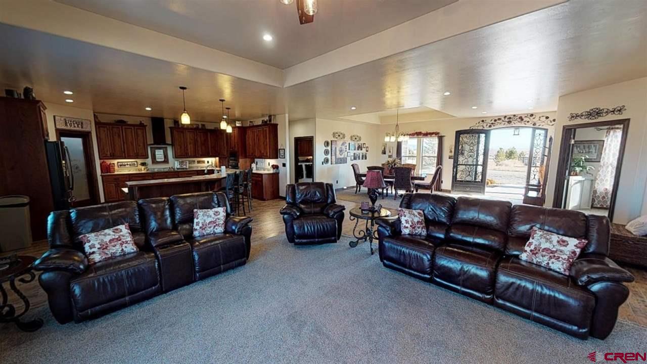 8370 2000th Road Austin, CO 81410 - Photo 8 of 35 a living room with furniture and a fireplace