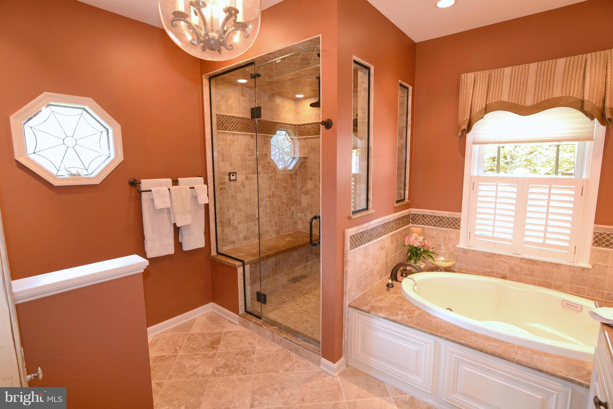 1040 South River Landing Road, Unit 1040 Edgewater, MD 21037 - Photo 17 of 30 a bathroom with a tub a sink and a shower
