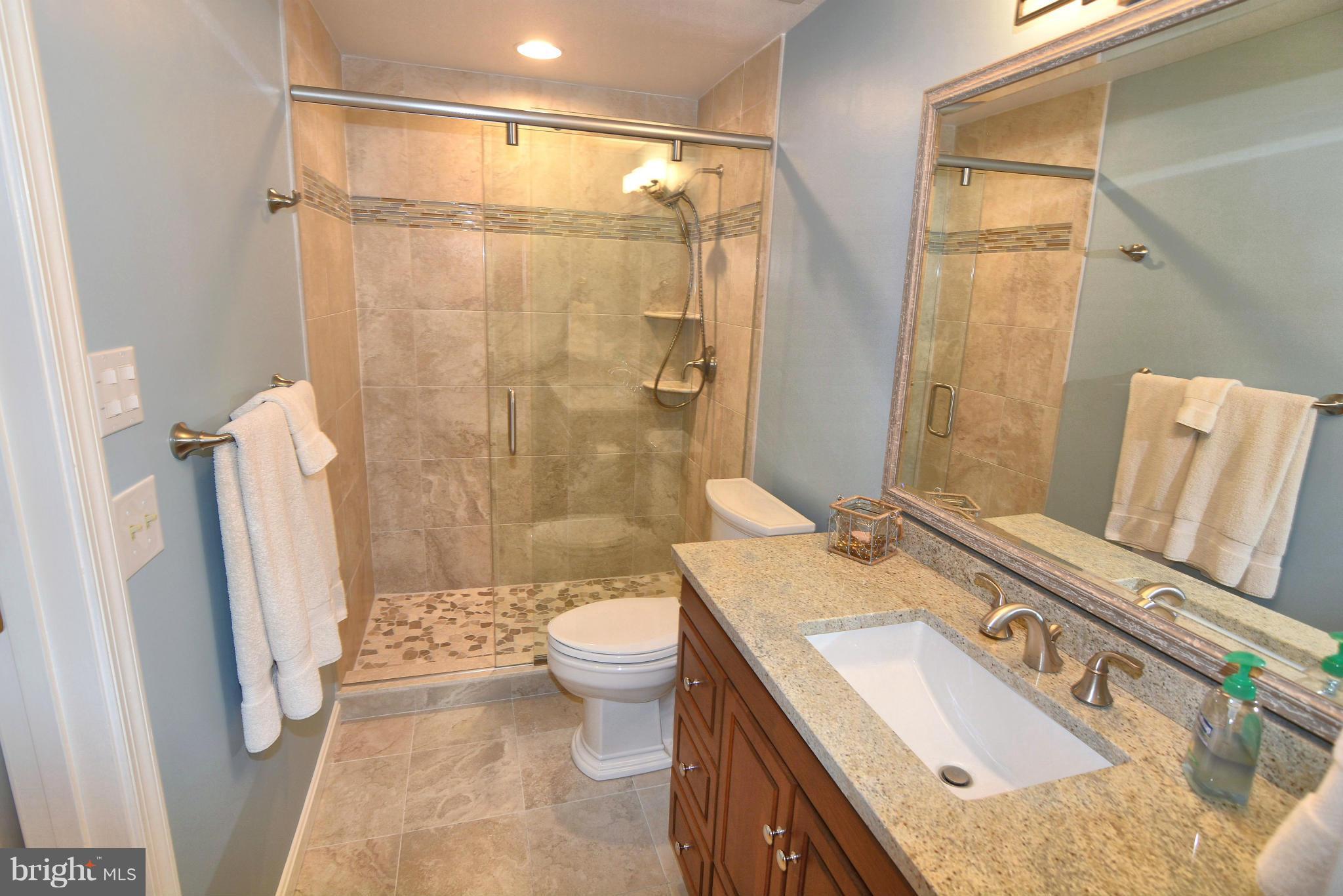 1040 South River Landing Road, Unit 1040 Edgewater, MD 21037 - Photo 23 of 30 a bathroom with a sink toilet and shower