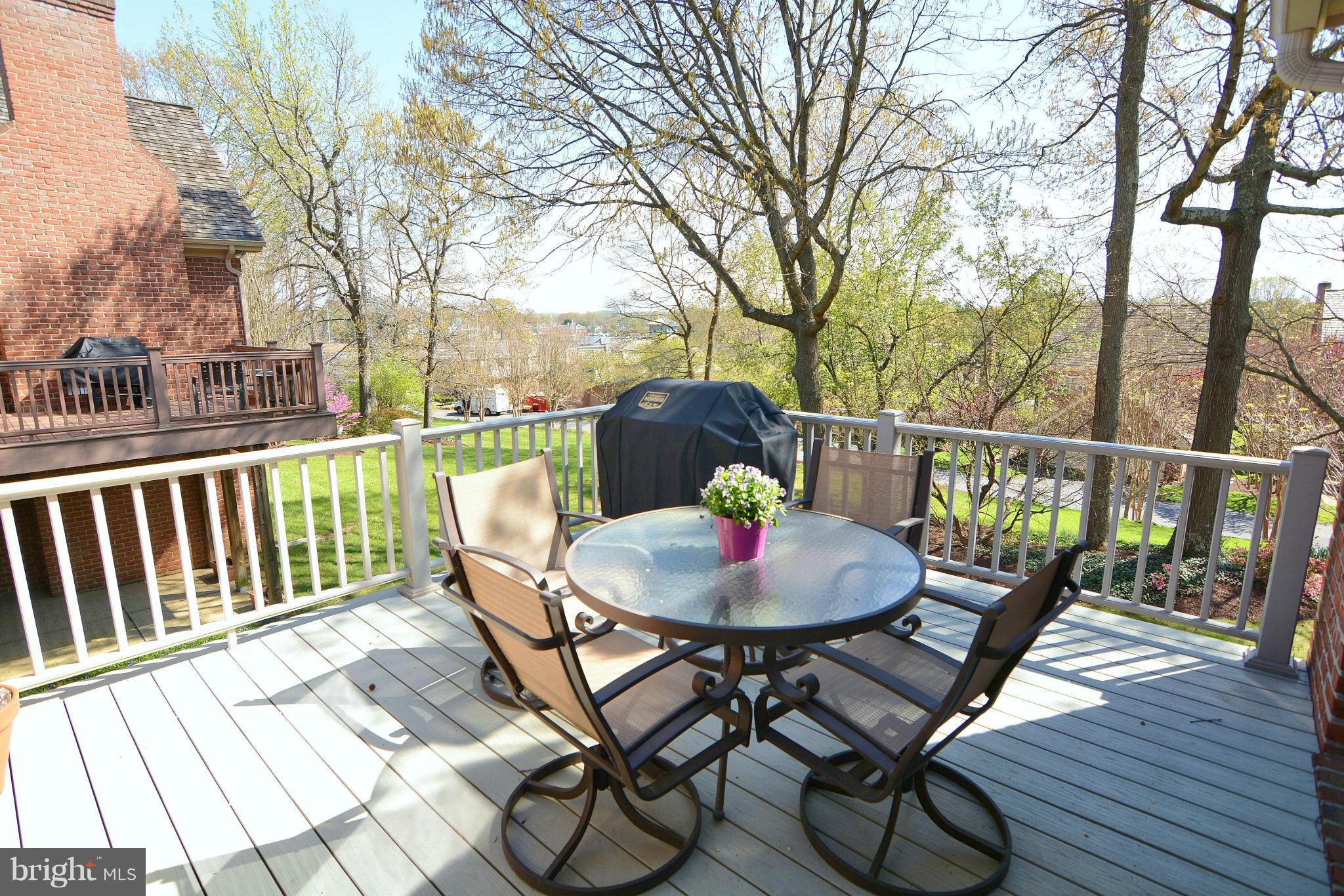 1040 South River Landing Road, Unit 1040 Edgewater, MD 21037 - Photo 9 of 30 a view of a chairs and table on the deck