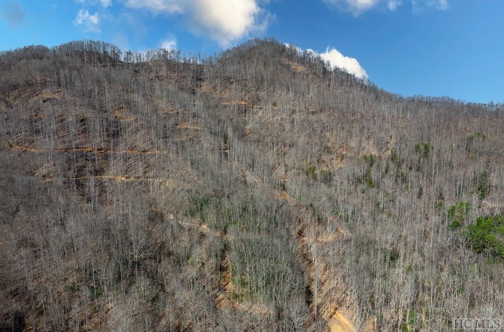 0 North Skeenah Road Franklin, NC 28734 - Photo 16 of 20 Gallery Image 16