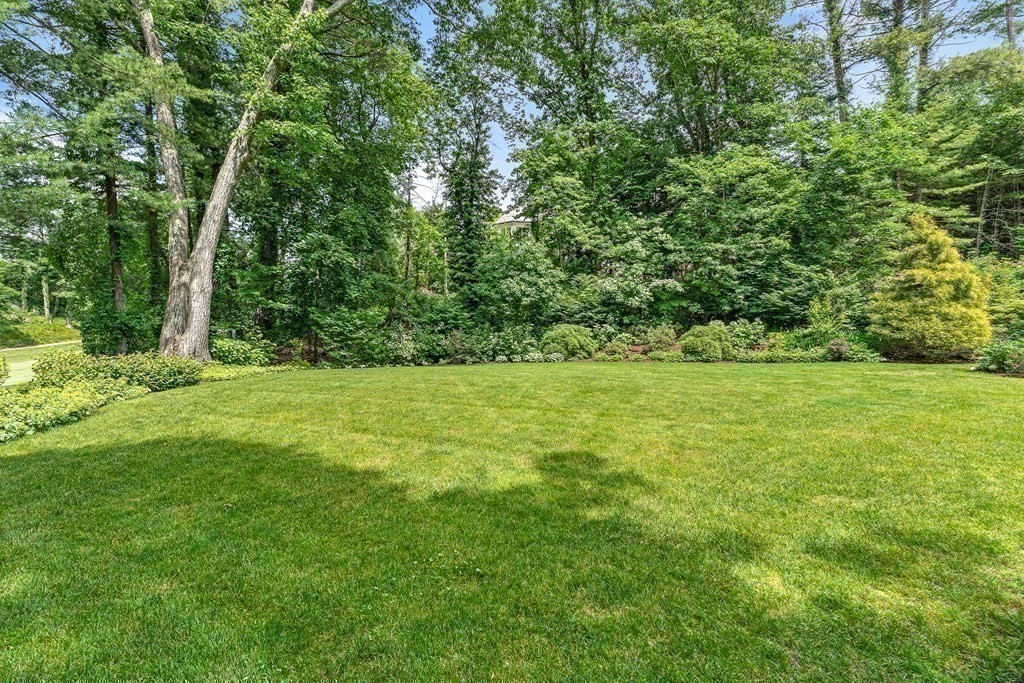 211 Meadowbrook Road Weston, MA 02493 - Photo 40 of 41 a view of green field with trees in the background