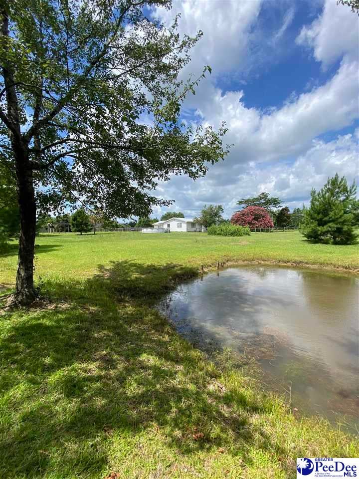 2266 Mack Arthur Road Mullins, SC 29574 - Photo 11 of 28 Gallery Image 11