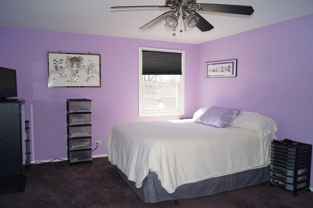206 Weidner Road Buffalo Grove, IL 60089 - Photo 14 of 22