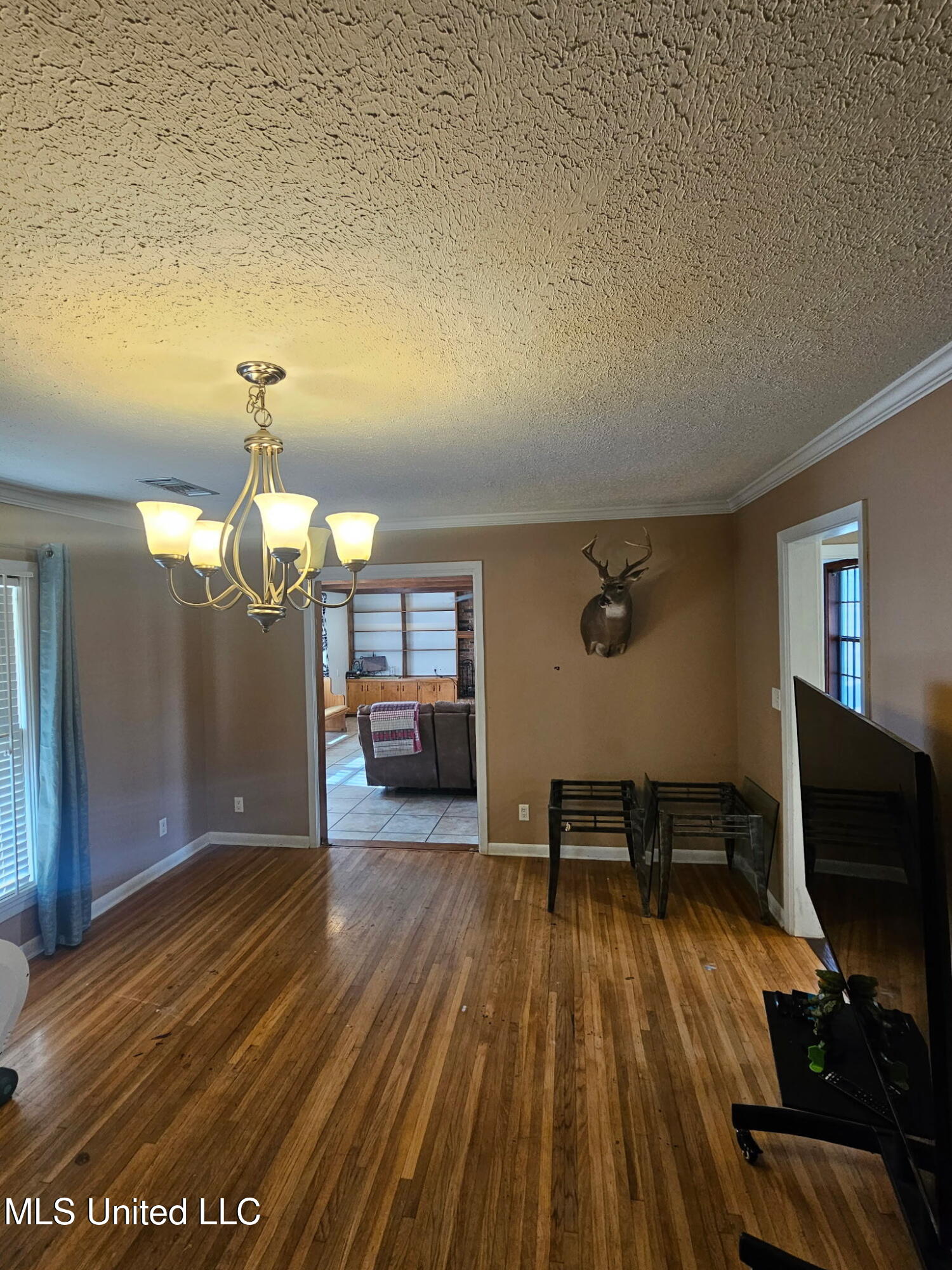 500 Boulevard Street Lexington, MS 39095 - Photo 16 of 31 deer
