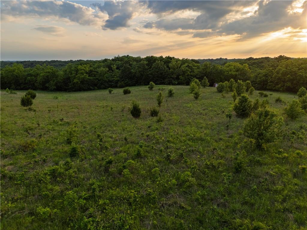 Tbd Rattlesnake Road Polo, MO 64671 - Photo 6 of 32