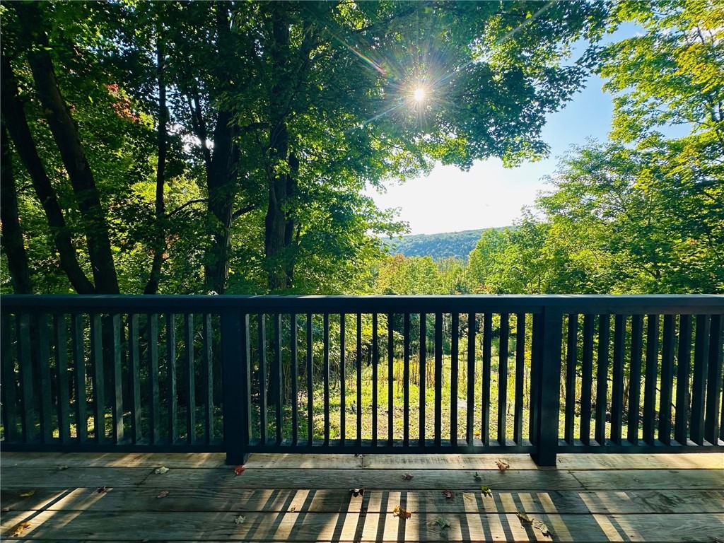 135 High Pine Meadows Road Middleburgh, NY 12122 - Photo 5 of 26 View from the deck