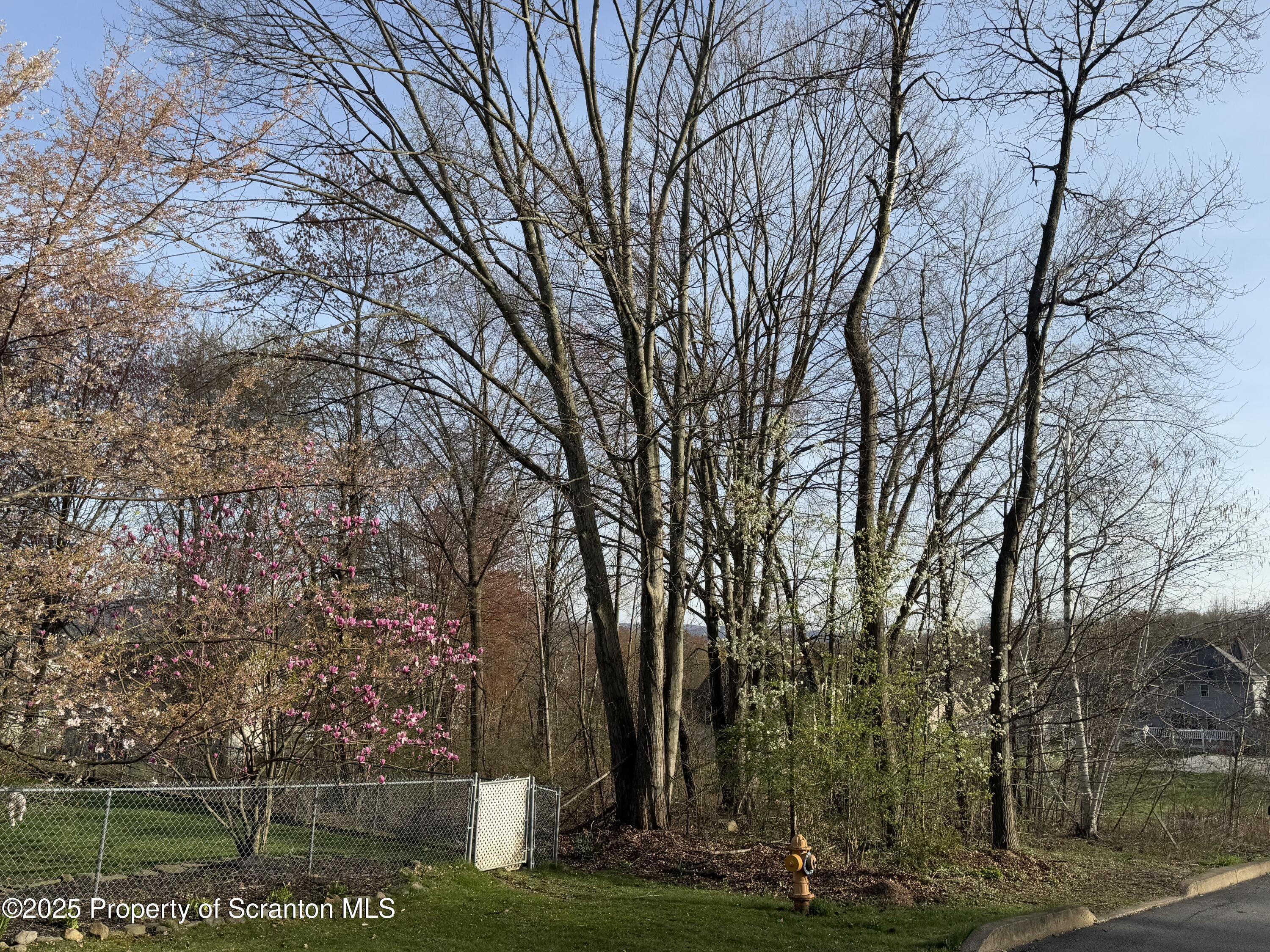 Norfolk Way Scranton, PA 18504 - Photo 2 of 6 IMG_7716