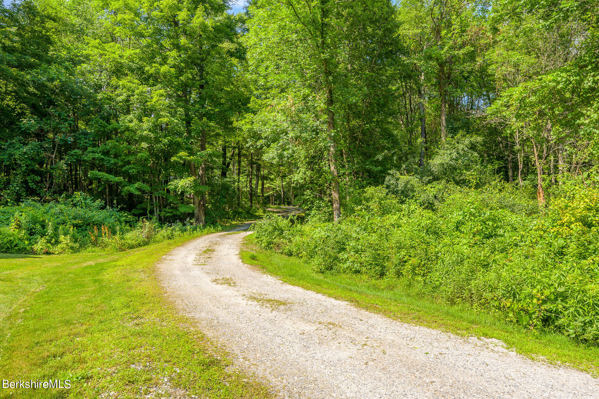 12 Austerlitz Road West Stockbridge, MA 01266 - Photo 3 of 46 a view of a yard with a trees