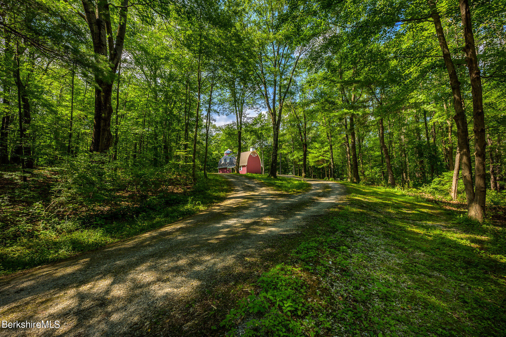 12 Austerlitz Road West Stockbridge, MA 01266 - Photo 4 of 46 a view of outdoor space with trees all around