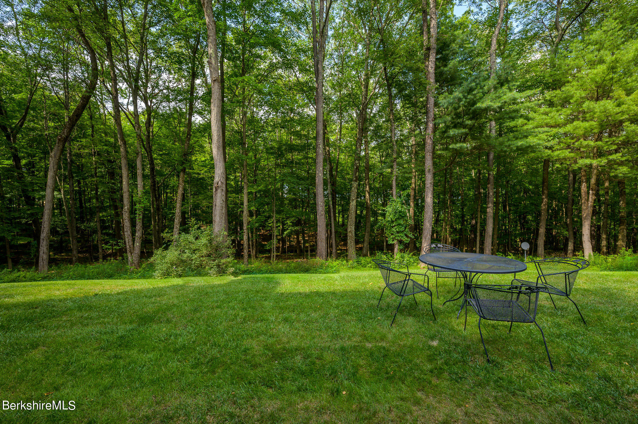 12 Austerlitz Road West Stockbridge, MA 01266 - Photo 33 of 46 a view of a park with large trees