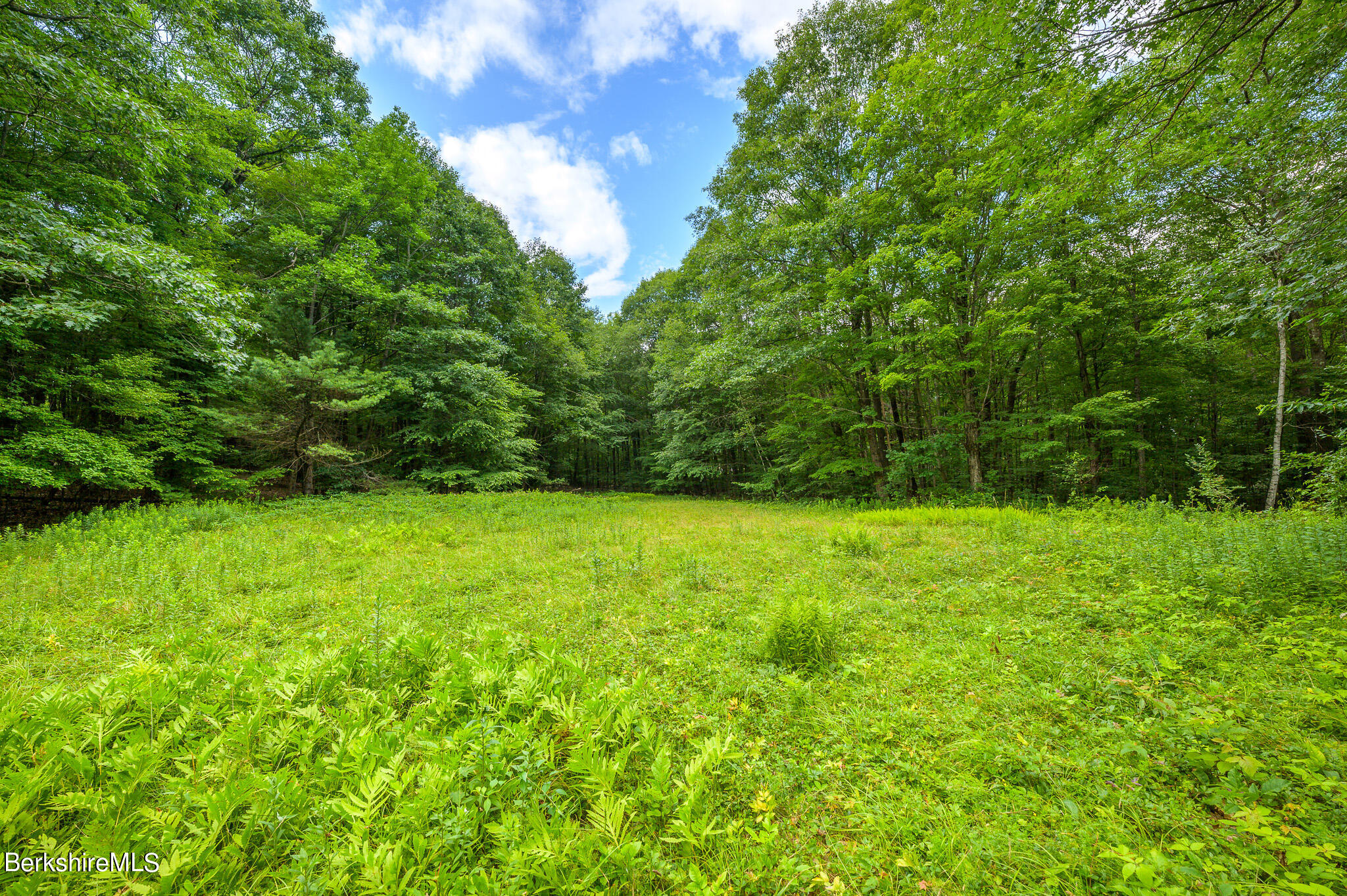 12 Austerlitz Road West Stockbridge, MA 01266 - Photo 37 of 46 a view of outdoor space and yard