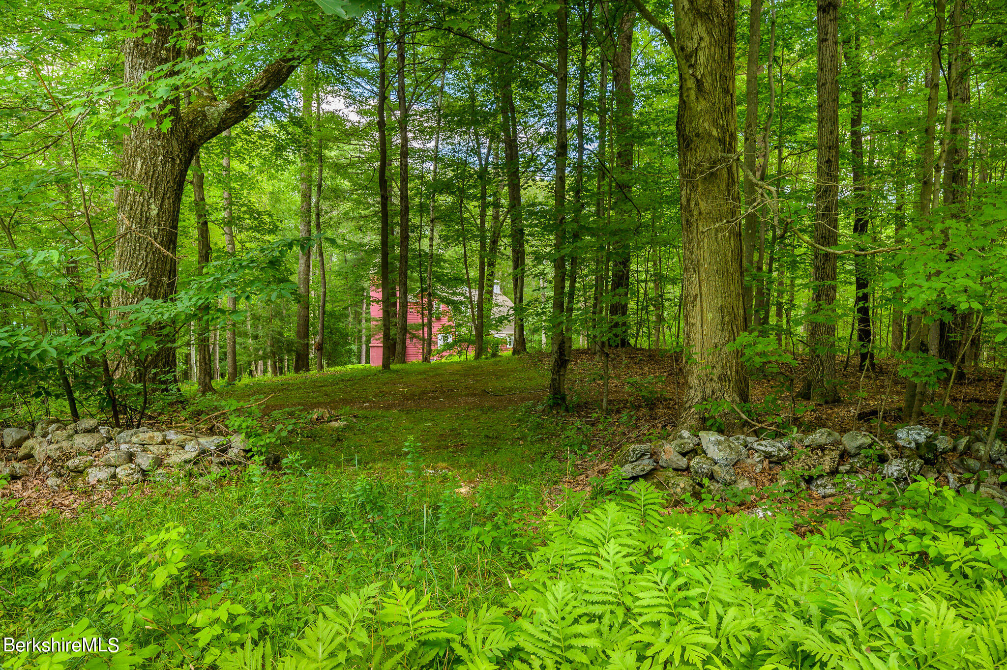 12 Austerlitz Road West Stockbridge, MA 01266 - Photo 38 of 46 a view of outdoor space with a garden