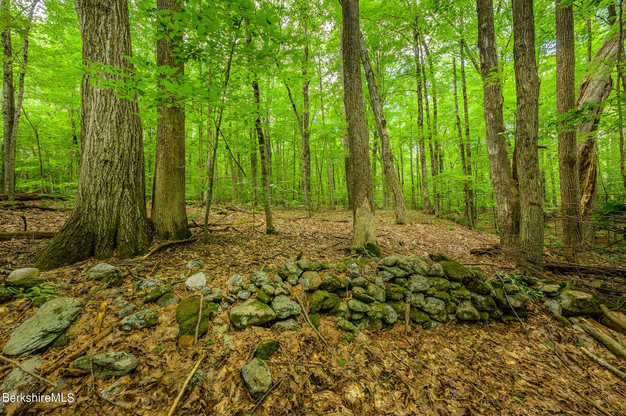 12 Austerlitz Road West Stockbridge, MA 01266 - Photo 42 of 46 a view of backyard with green space