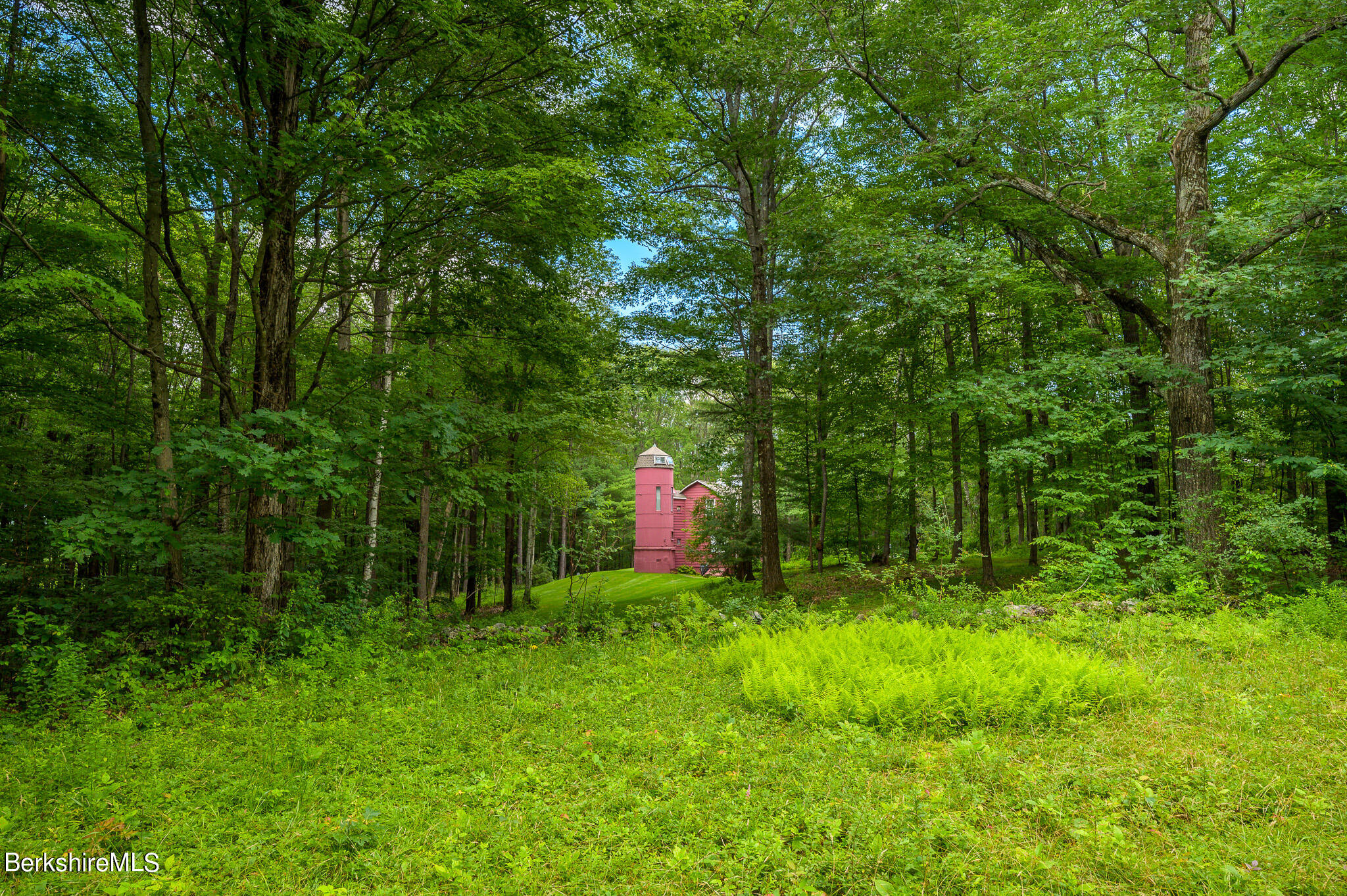12 Austerlitz Road West Stockbridge, MA 01266 - Photo 44 of 46 a view of a house with a backyard and trees