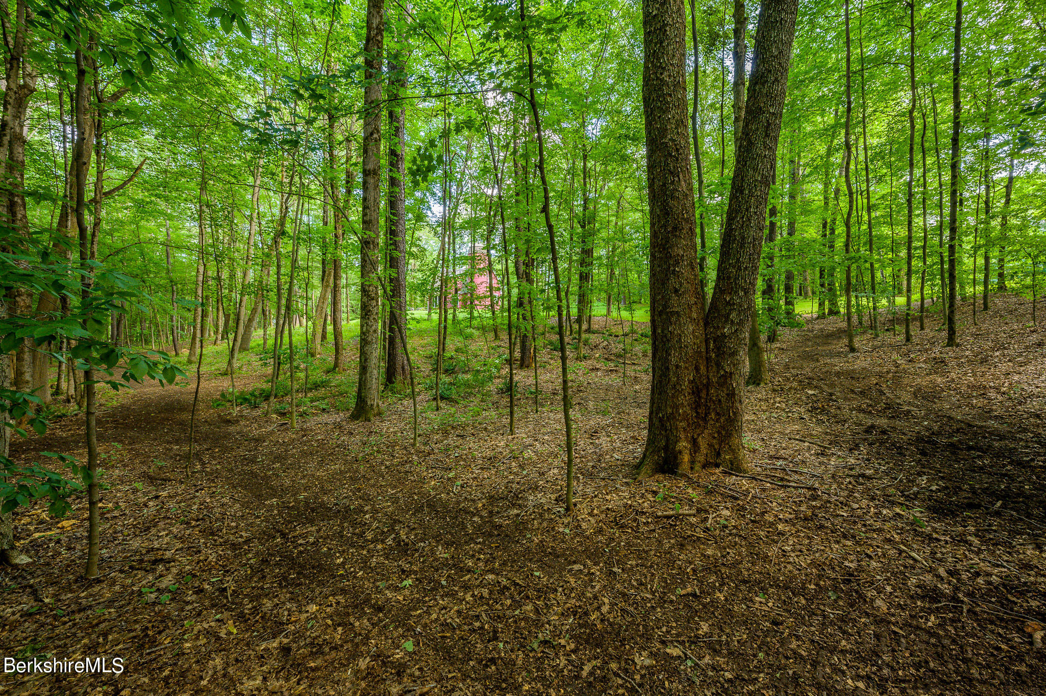 12 Austerlitz Road West Stockbridge, MA 01266 - Photo 46 of 46 a view of outdoor space and green space