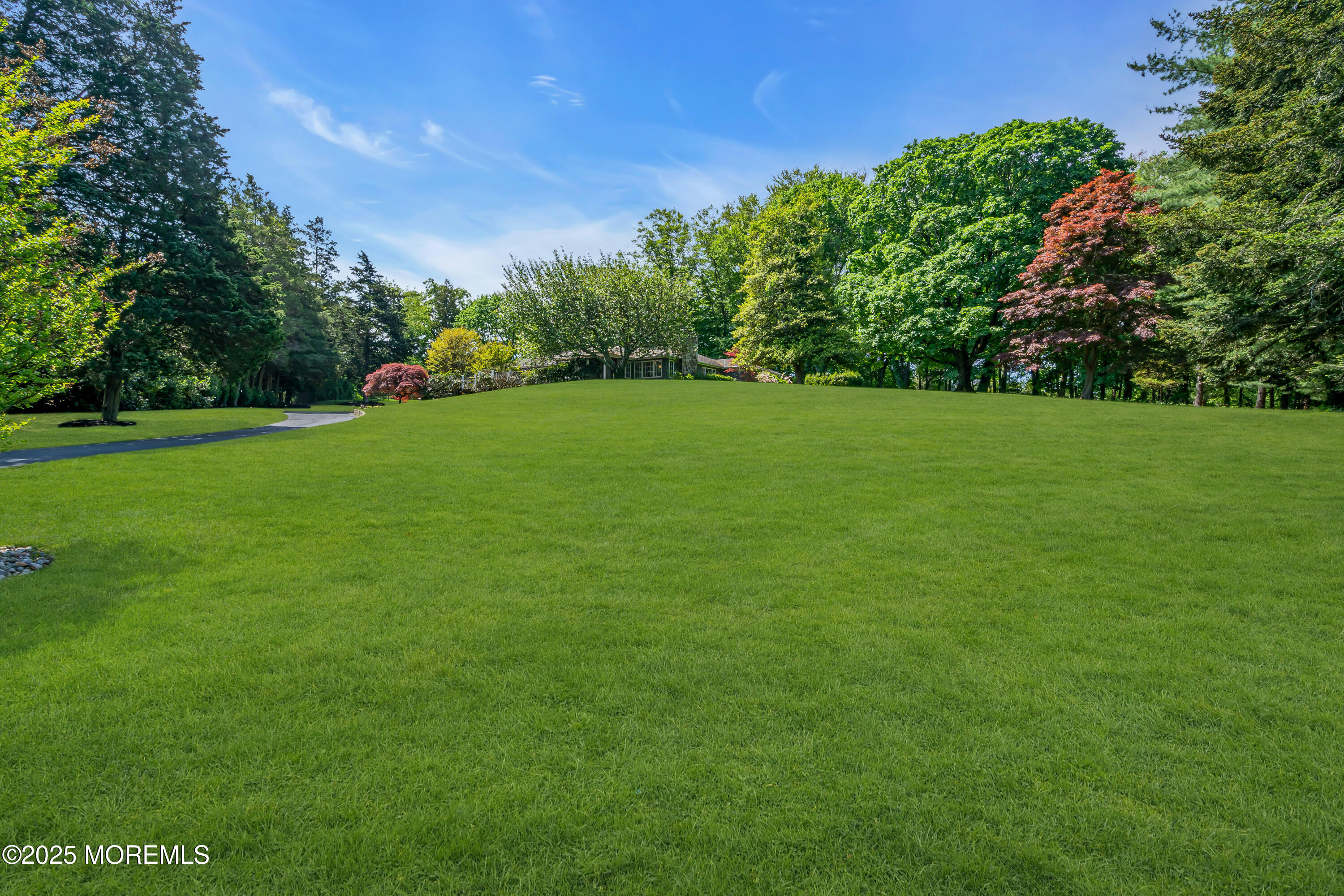 a view of a field of grass and trees