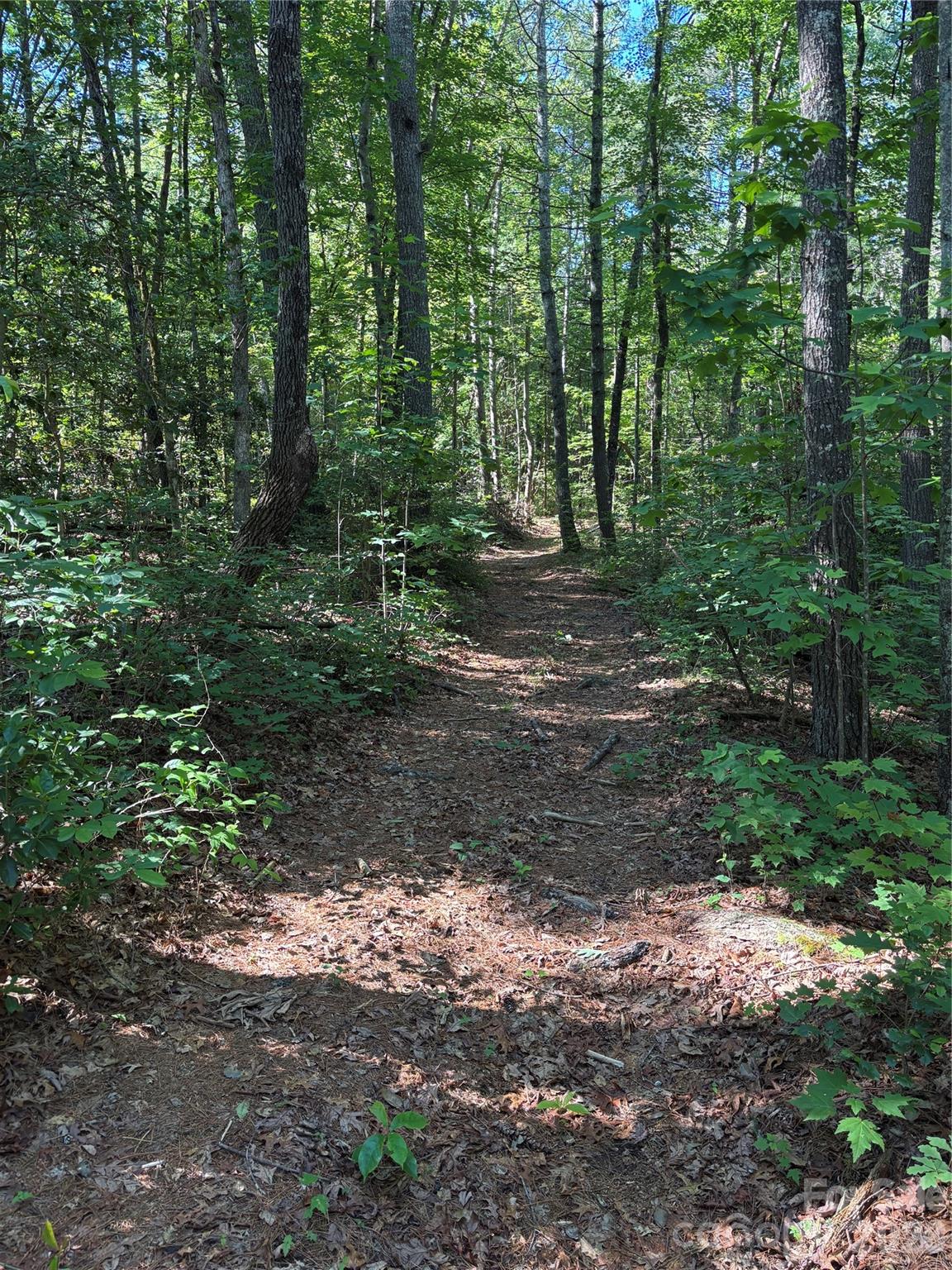0 Stillwater Road Boomer, NC 28606 - Photo 32 of 33