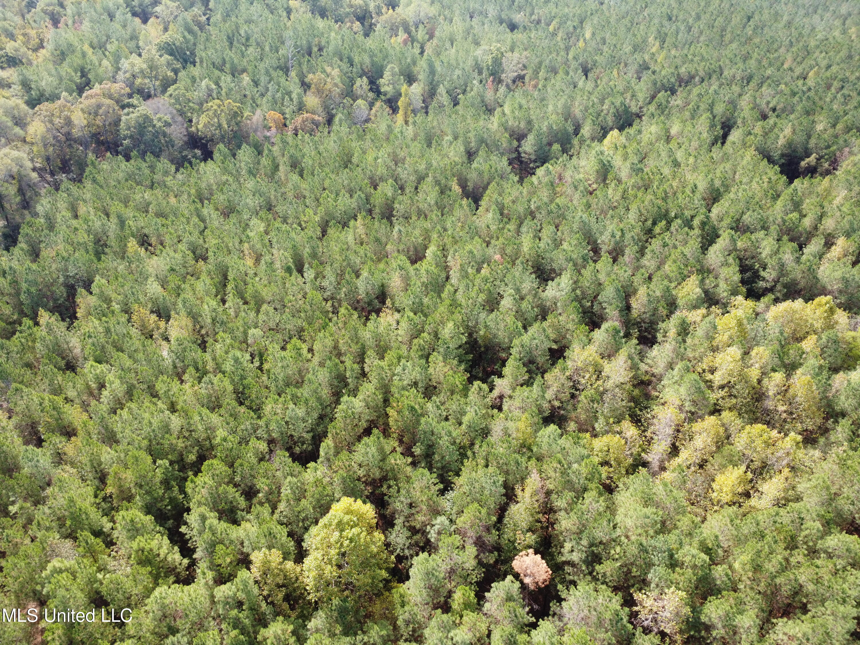 51 Rd Pickens Ms 39146 Pickens, MS 39146 - Photo 4 of 10 DJI_0522