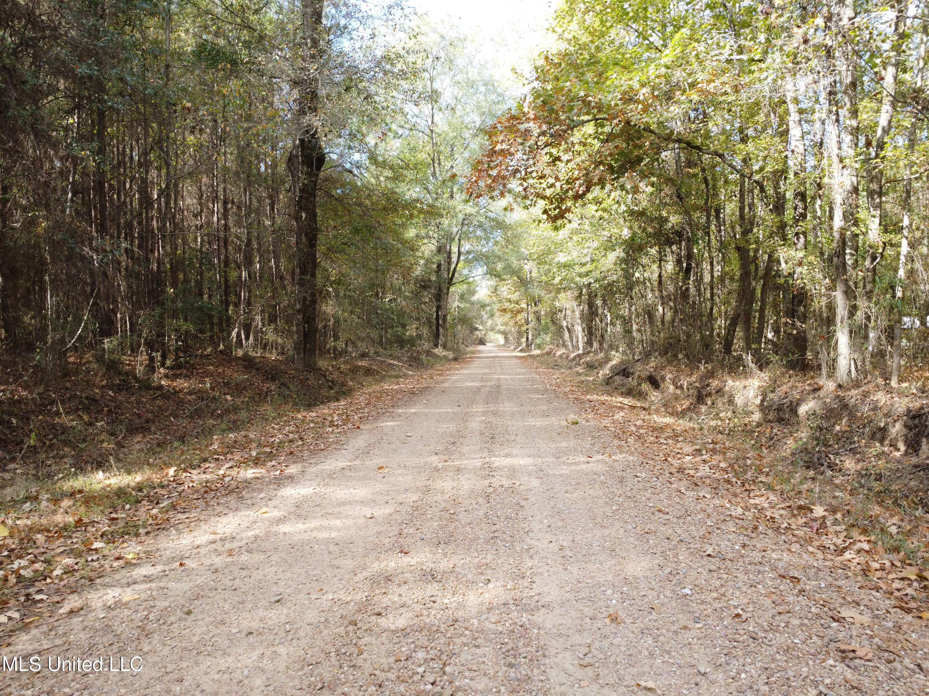 51 Rd Pickens Ms 39146 Pickens, MS 39146 - Photo 5 of 10 DJI_0531