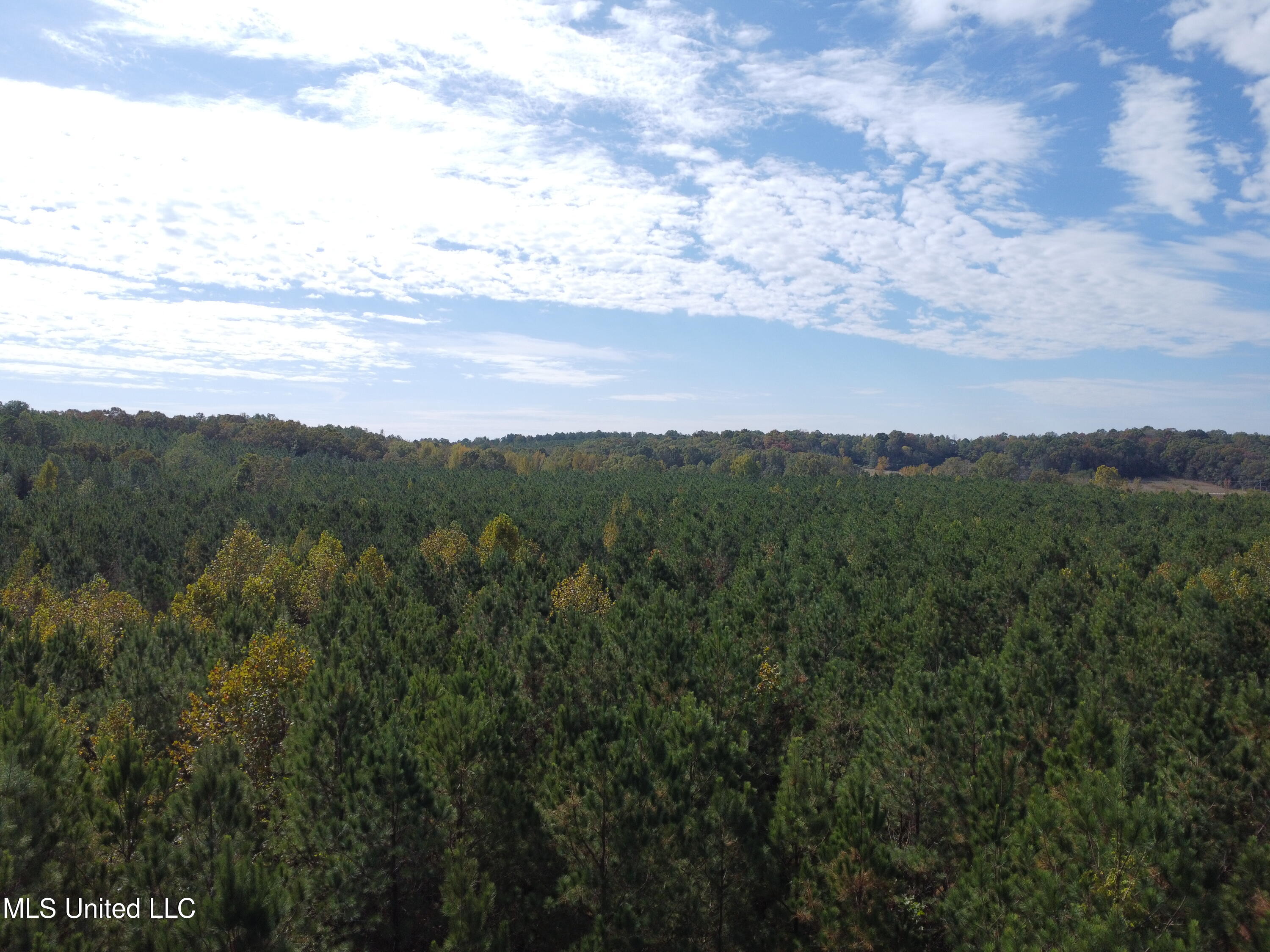 51 Rd Pickens Ms 39146 Pickens, MS 39146 - Photo 6 of 10 DJI_0528