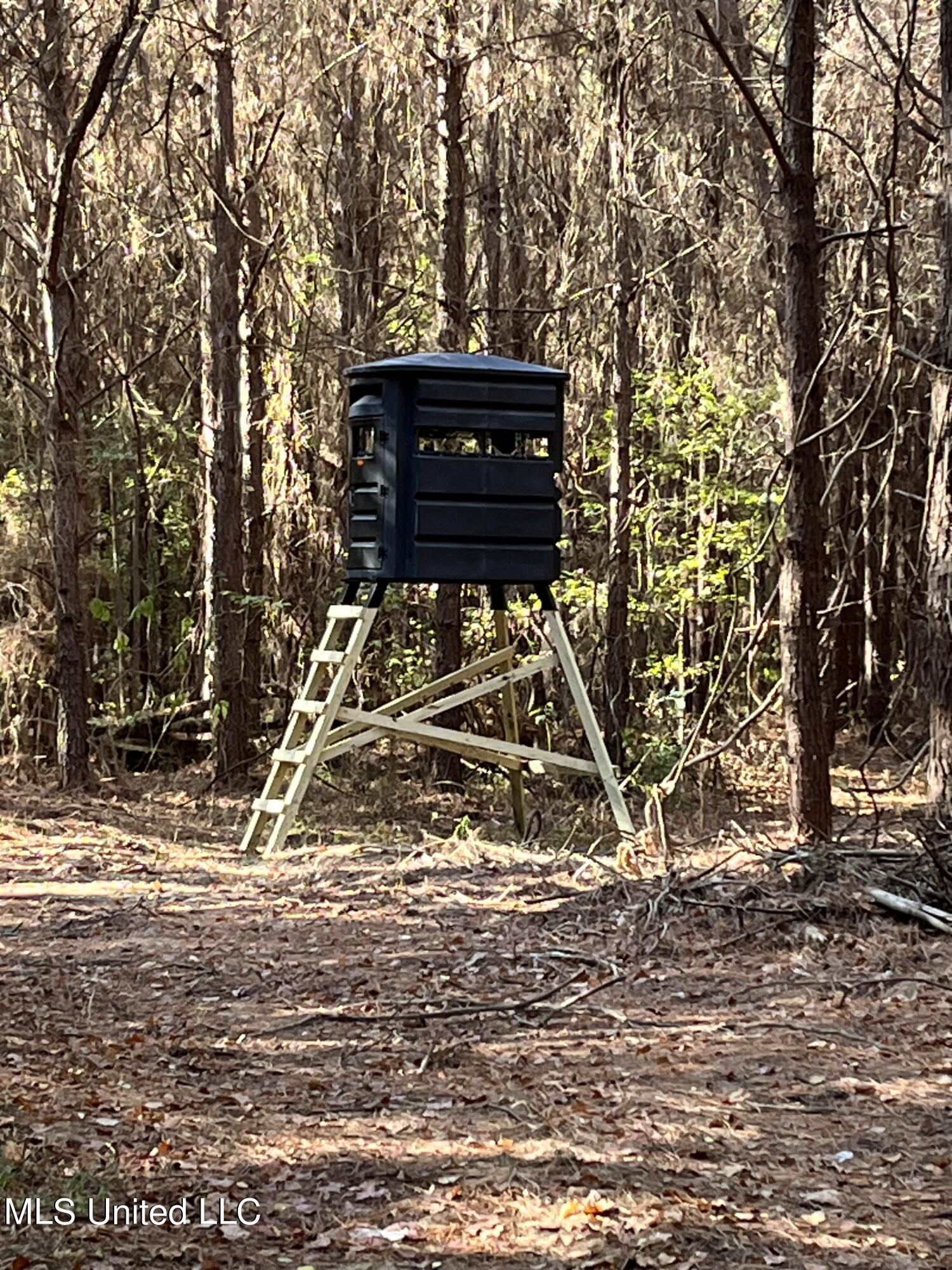 51 Rd Pickens Ms 39146 Pickens, MS 39146 - Photo 7 of 10 deer stand