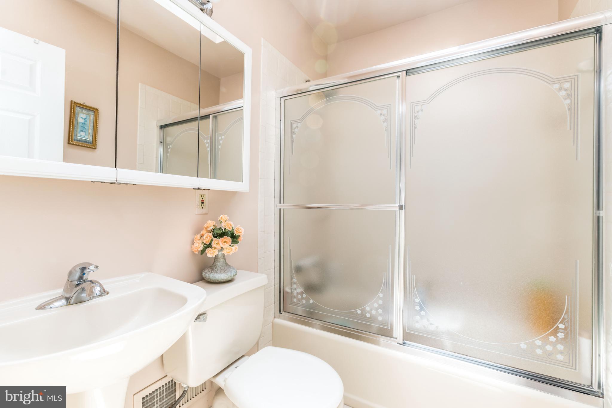 8709 Stockwell Road Baltimore, MD 21234 - Photo 24 of 34 Full Bathroom with skylight