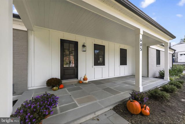 a room with wooden floor and potted plant